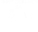 Debt Collect South Africa